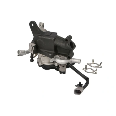 Imagem de PIERBURG 7.24809.98.0 Válvula EGR elétrico de controlo com junta VOLKSWAGEN: Polo V Hatchback, SEAT: Ibiza 4