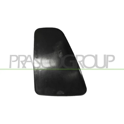 Imagem de PRASCO FT0322154 Painel decorativo, luz traseira FIAT: 500 Hatchback (312) 1.3 D Multijet 2016