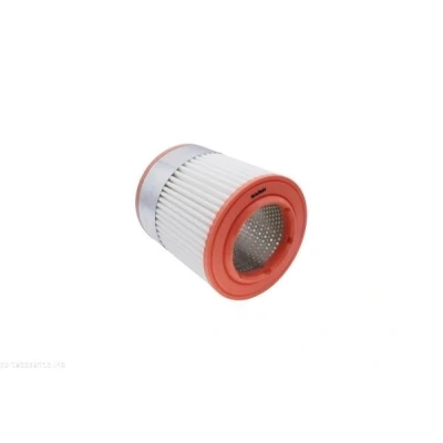 Imagem de AUTOMEGA 180026110 Filtro de ar Cartucho filtrante AUDI: A8 D3
