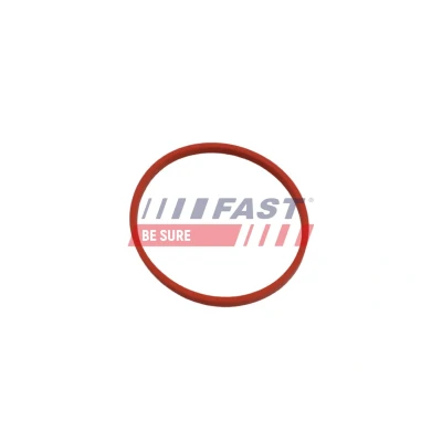Imagem de FAST FT49861 Retentor de Cambota do lado da caixa velocidades RENAULT: CLIO 2, LAGUNA ESPACE 4, NISSAN: Qashqai / Qashqai+2 I, Juke, Note I