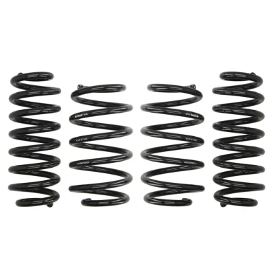 Imagem de EIBACH Pro Kit E10 85 016 10 22 de suspensão, molas VOLKSWAGEN: Passat B6 Variant, B7 Variant