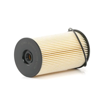 Imagem de ASHIKA 30 ECO024 Filtro de Combustível Cartucho filtrante VOLKSWAGEN: Scirocco III, Caddy 3, Golf Plus / Crossgolf, AUDI: A3 Sportback, Hatchback