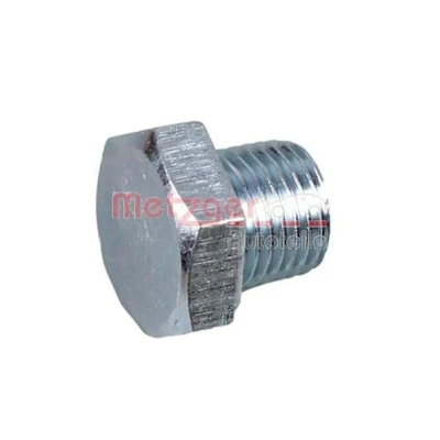 Imagem de METZGER 8030092 Bujão do Carter 1/4&quot; Aço 19 sem retentor ROVER: 45 Hatchback, Sedan, 200 MG: MG TF Cabrio, ZR Hatchback