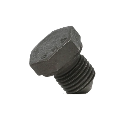 Imagem de FEBI BILSTEIN 48873 Bujão do Carter Aço 19 sem retentor VOLKSWAGEN: Golf 7, 4, Polo V Hatchback, SEAT: Ibiza 3, Leon III ST, Hatchback