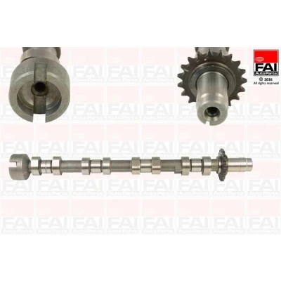 Imagem de FAI AutoParts C364 Árvore de Cames FORD: S Max Mk1