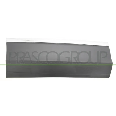 Imagem de PRASCO VG8101463 Friso Porta