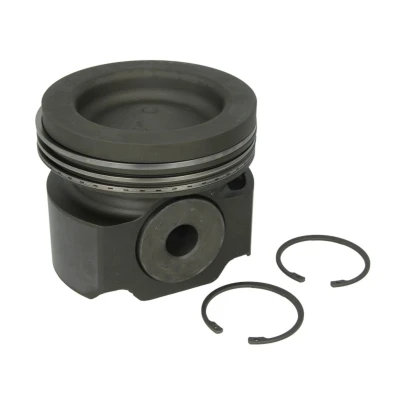 Imagem de Pistão MAHLE 038 73 00