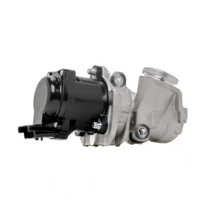 Imagem de PIERBURG 7.24809.39.0 Válvula EGR elétrico Electroválvula com junta PEUGEOT: 308 I SW, 206 Hatchback, 307 CITROËN: C4 Grand Picasso
