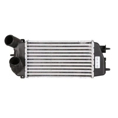 Imagem de NRF 30836 Intercooler CITROËN: C3 I Hatchback