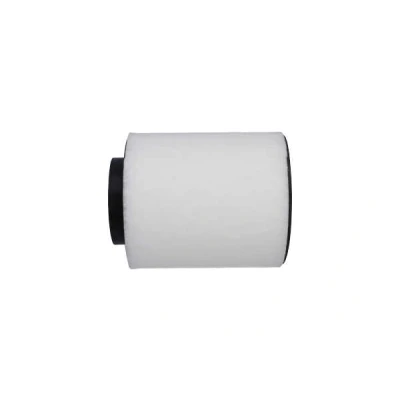 Imagem de KAVO PARTS FAF 10447 Filtro de ar 153mm entrada, Cartucho filtrante AUDI: A8 D4 (4H2, 4H8, 4HC, 4HL) 4.0 TFSI quattro, 2.0 hybrid