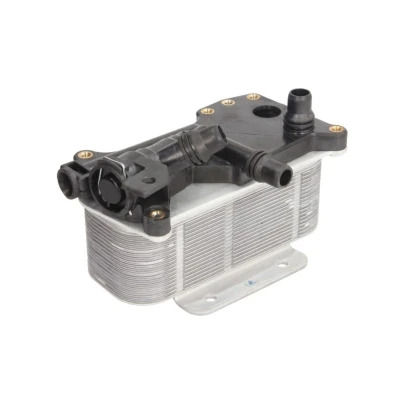 Imagem de Arrefecedor de óleo, transmissão automática THERMOTEC D4B018TT