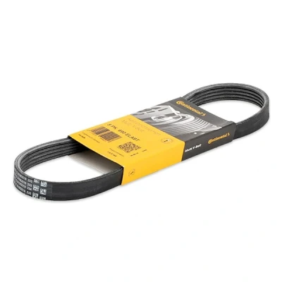 Imagem de CONTITECH 5PK705 ELAST Correia trapezoidal estriada 705 5 FORD: FOCUS 2, 2 Kombi, 3 Turnier, VOLVO: C30, V50, S40 II