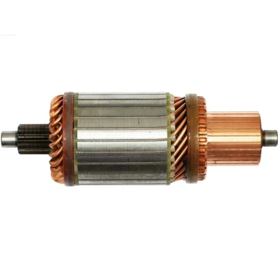 Imagem de AS PL SA9017 Induzido, motor de arranque