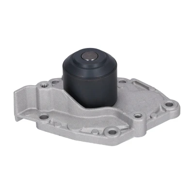 Imagem de FEBI BILSTEIN 29703 Bomba de água Alumínio fundido com junta Plástico RENAULT: MEGANE 2 Kombi, 2, LAGUNA SUZUKI: Grand Vitara SUV