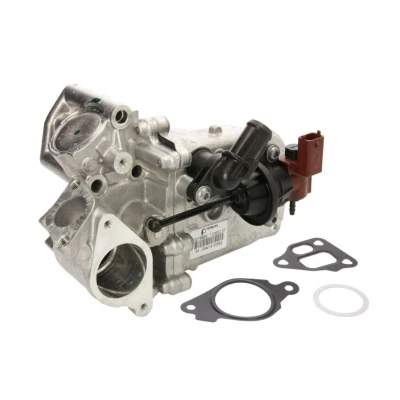 Imagem de PIERBURG 7.03622.06.0 Radiador EGR com junta FIAT: Doblo II Van / Carrinha, Carrinha