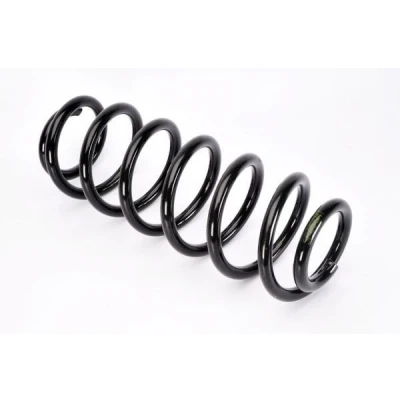 Imagem de KRAFT 4035505 Mola de suspensão Eixo traseiro PEUGEOT: 307 Carrinha, SW