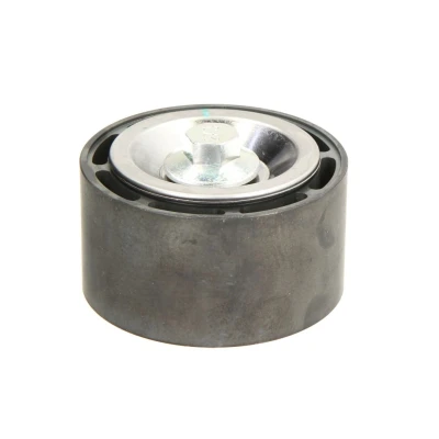 Imagem de DAYCO APV3064 Polia de Desvio
