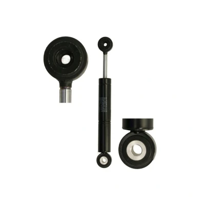 Imagem de STABILUS // STAB O SHOC 5427PO Amortecedor de vibrações, correia trapezoidal estriada MERCEDES BENZ: CLK Cabrio, Classe C Sedan, E Sedan