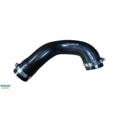 Imagem de BUGIAD 82205 Mangueira Para o Turbocompressor com braçadeiras LAND ROVER: Range Rover Sport