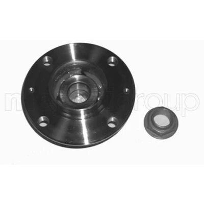 Imagem de METELLI 19 2444 Kit de rolamento roda PEUGEOT: 307 Hatchback, SW, Carrinha, CITROËN: C4 Coupe, I Hatchback