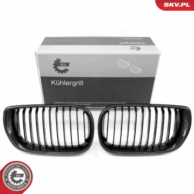 Imagem de ESEN SKV 66SKV080 Grelha de Radiador carbono BMW: 3 Sedan, Touring