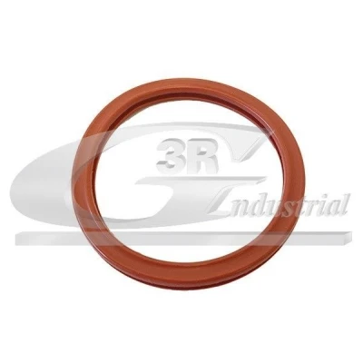 Imagem de 3RG 82680 Junta de Coletor Admissão RENAULT: CLIO 2