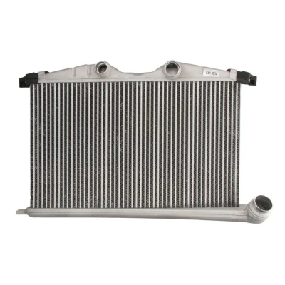 Imagem de THERMOTEC DAC021TT Intercooler