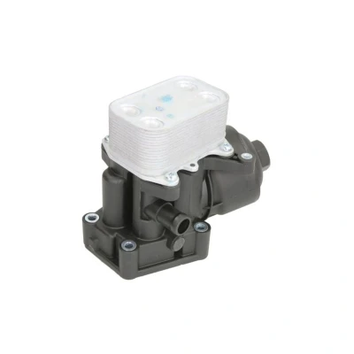 Imagem de THERMOTEC D4W019TT Radiador de Óleo SEAT: Ibiza 4 Sportcoupe, ST, 4, VOLKSWAGEN: Polo V Hatchback