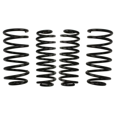 Imagem de EIBACH Pro Kit E10 85 001 14 22 de suspensão, molas VOLKSWAGEN: Golf 4