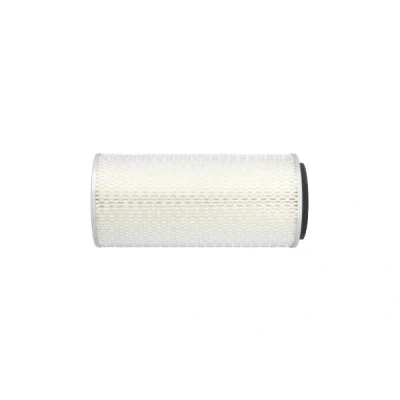 Imagem de KAVO PARTS NA 291 Filtro de ar 295mm 133mm Cartucho filtrante NISSAN: Patrol Hardtop, 3/2 SUV, GR 4 BMW: 6 Coupe