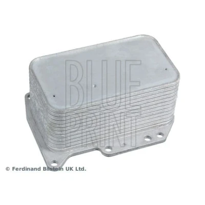 Imagem de BLUE PRINT ADBP610008 Radiador de Óleo RENAULT: TRAFIC 2 Kasten