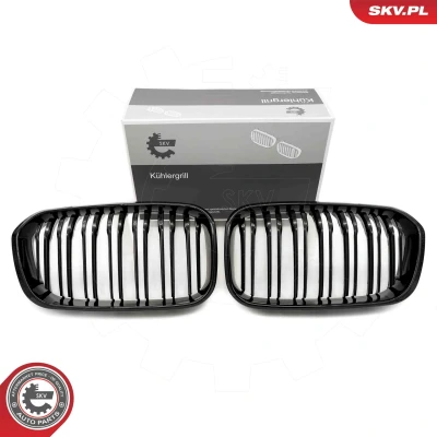 Imagem de ESEN SKV 66SKV021 Grelha de Radiador brilhante, preto BMW: 1 Hatchback