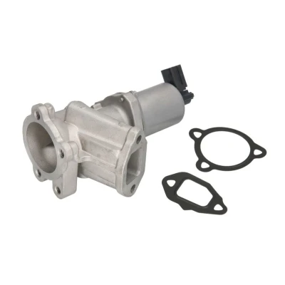 Imagem de NISSENS 98175 Válvula EGR com juntas OPEL: Corsa C Hatchback, D Combo Van / Carrinha, FIAT: Doblo I Cargo, Panda II Hatchback