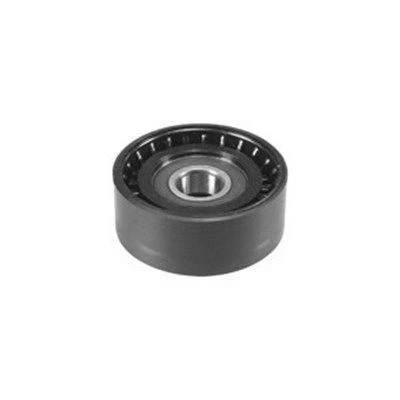Imagem de MAGNETI MARELLI 331316170006 Polia Tensora PEUGEOT: 206 Hatchback, 307 Carrinha, 406 Sedan, CITROËN: Xsara Coupe
