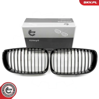 Imagem de ESEN SKV 66SKV006 Grelha de Radiador brilhante, preto BMW: 1 Hatchback