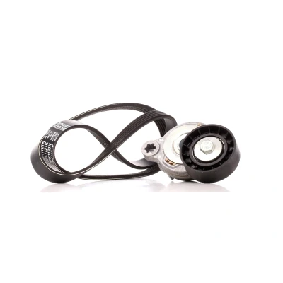 Imagem de DAYCO KPV279 Jogo de correias trapezoidais estriadas VOLVO: XC60 I, V70 3