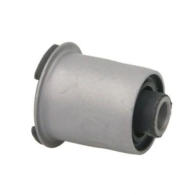 Imagem de SASIC 4001587 Casquilho de Braço Suspensão Eixo traseiro Rolamento borracha e metal RENAULT: Kangoo I Express, Scénic 1