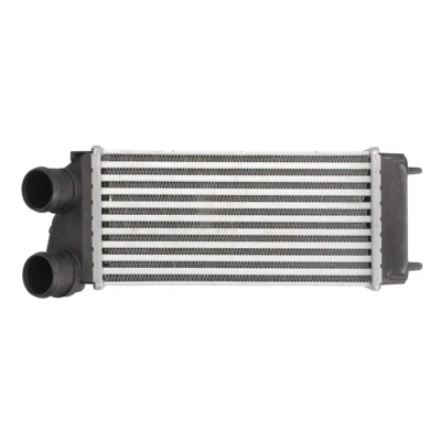 Imagem de THERMOTEC DAC004TT Intercooler 300 150 88 CITROËN: C4 I Grand Picasso