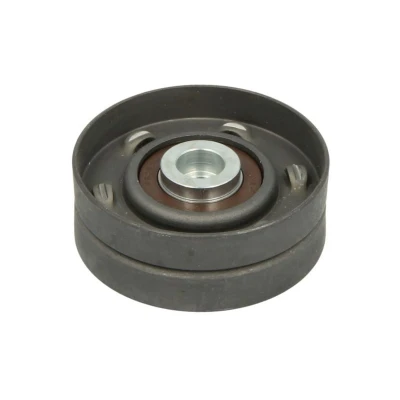 Imagem de BTA E2B0030BTA Polia de Desvio com material fixação