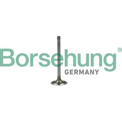 Imagem de Borsehung B19022 Válvula de Admissão