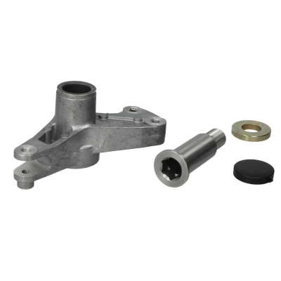 Imagem de SWAG 10 03 1700 Tensor, correia trapezoidal estriada com material de montagem tampa MERCEDES BENZ: Classe E Sedan, C T modell, W124 Sedan