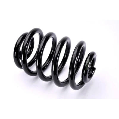 Imagem de Magnum Technology SM069MT Mola de suspensão Eixo traseiro helicoidal