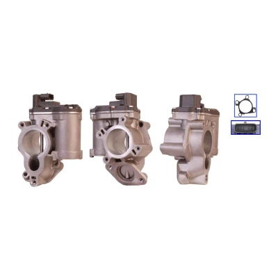 Imagem de ELSTOCK 73 0092 Válvula EGR elétrico com juntas RENAULT: MEGANE 3, ESPACE 4, 3 Coupe, OPEL: Vivaro A Van, Combi
