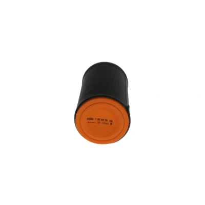 Imagem de BOSCH F 026 400 736 Filtro de ar 262 149 Cartucho filtrante FIAT: BRAVO 2, LANCIA: DELTA 3, ALFA ROMEO: 4C Spider