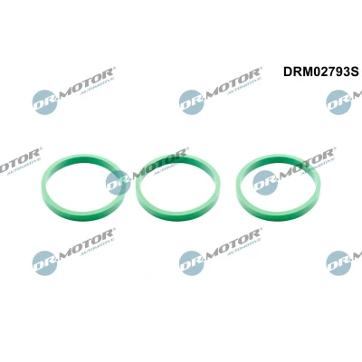 Imagem de DR.MOTOR AUTOMOTIVE DRM02793S Jogo de juntas, colector admissão AUDI: A6 C7 Avant, Sedan, A7 Sportback