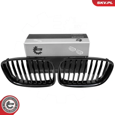 Imagem de ESEN SKV 66SKV176 Grelha de Radiador preto, brilhante BMW: 5 GT (F07) 530d 3.0, 550i 4.4, 535d xDrive 535 i xDrive, 4.4