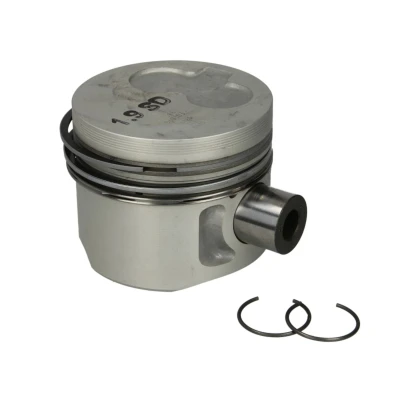 Imagem de Pistão MAHLE 029 82 00
