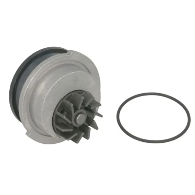 Imagem de INA 538 0066 10 Bomba de água 19 para accionamento da correia dentada CHEVROLET: Aveo / Kalos Hatchback, Sedan, Cruze Sedan