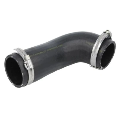 Imagem de Mangueira de ar reforço THERMOTEC DCB107TT