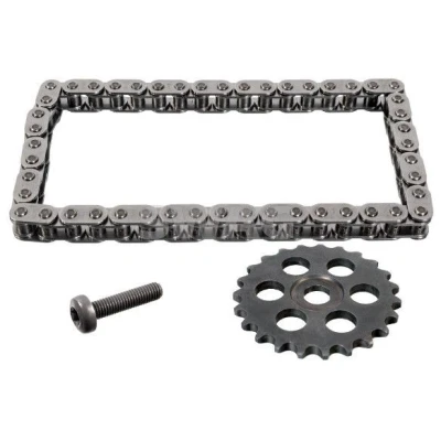 Imagem de Kit de corrente, accionamento da bomba óleo SWAG 33 10 9583